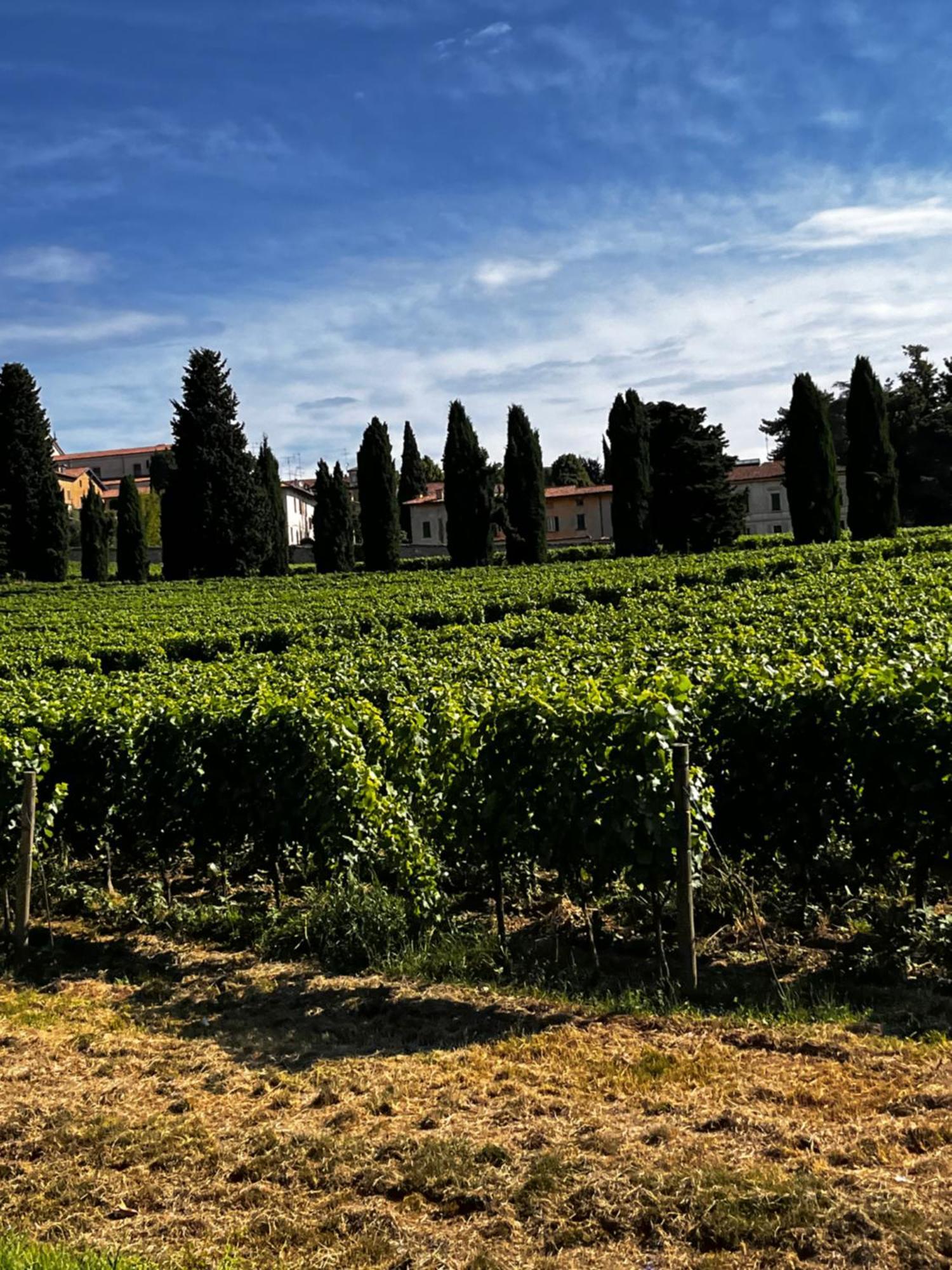 Anna Appartamento Vacanze Monticelli Brusati Exterior photo