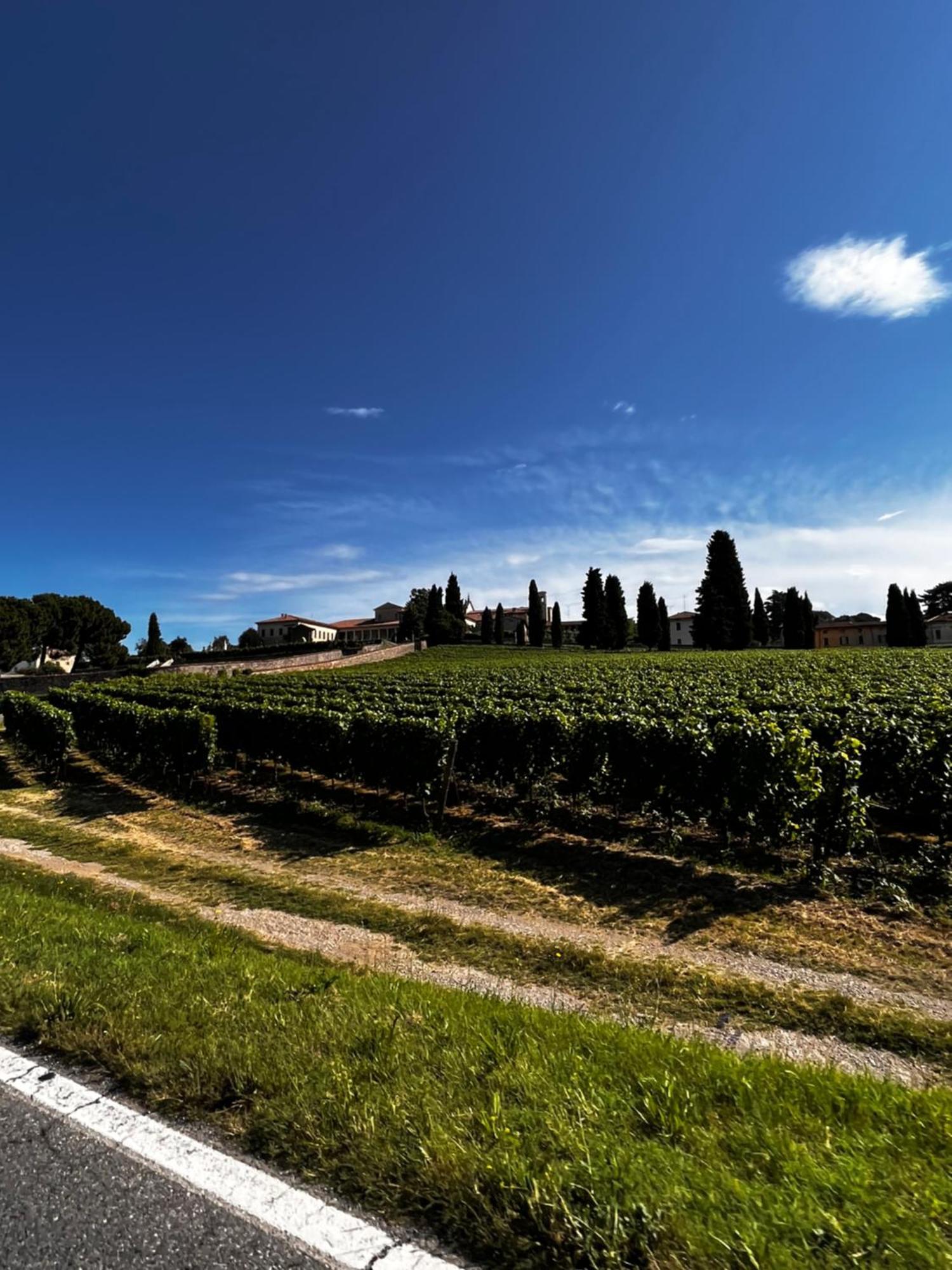 Anna Appartamento Vacanze Monticelli Brusati Exterior photo